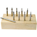 10 PIECE 2 & 4 FLUTE MINI HIGH SPEED STEEL DOUBLE END MILL SET (8000-0025)